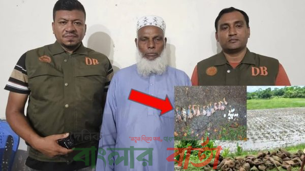 বাবুই পাখির ছানা হত্যা মামলার প্রধান আসামি গ্রেপ্তার