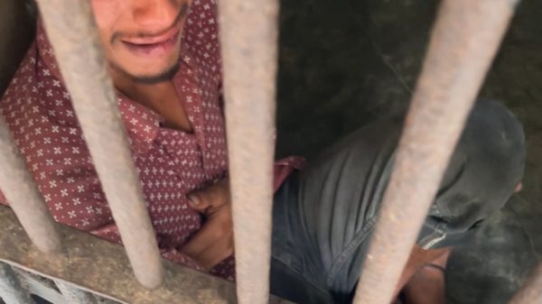 ভাঙ্গারি গোডাউনে সরকারি বই, কারাগারে ভ্যানচালক