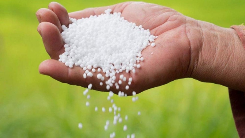 সার সরবরাহ নির্বিঘ্নে ৬৪ জেলায় মনিটরিং সেল গঠন